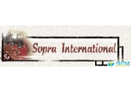 sopra inetrnational logo